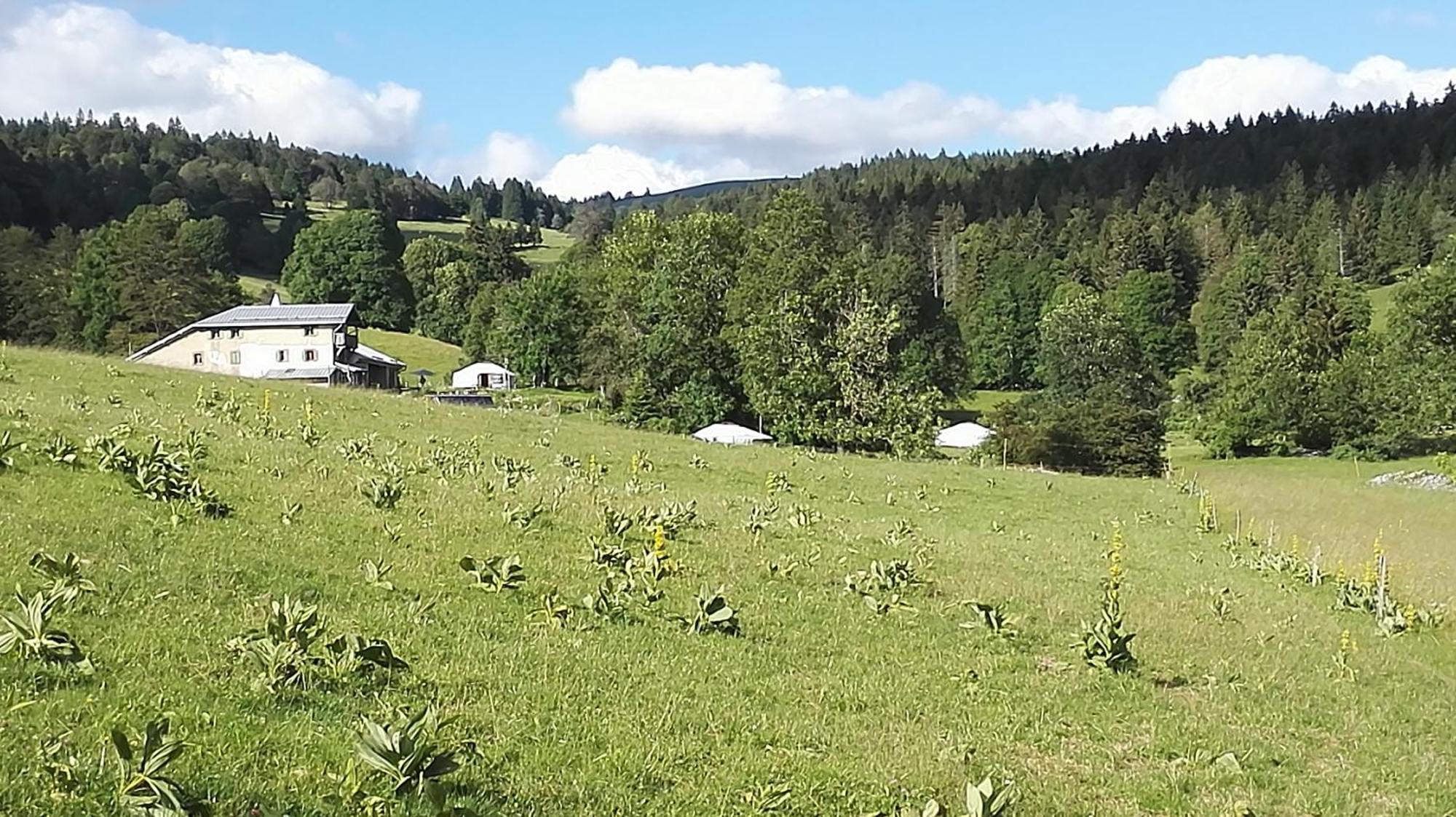 La Petite Echelle Hotel Rochejean Kültér fotó